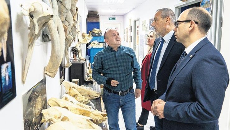 İstanbul’da filler bizonlar dolaşırdı