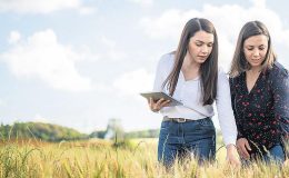 Hububat uykuya dalamadı!