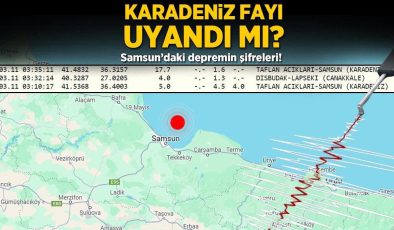 Karadeniz Fayı uyandı mı? Samsun’daki depremin şifreleri: ’56 yıl önce tsunami de yaşandı’