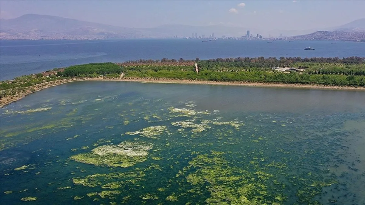 İzmir Körfezi’ndeki kirliliğe neden olan sorumlular hakkında soruşturma