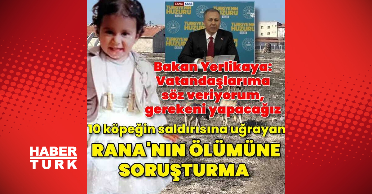 Karatay’da sahipsiz köpek vahşeti! 2 yaşındaki Rana hayatını kaybetti